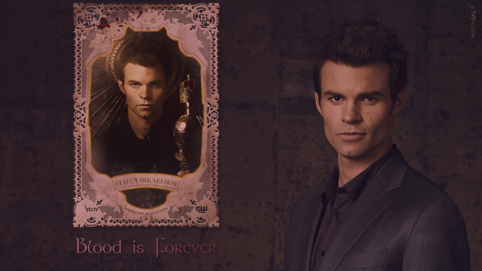 elijah_mikaelson___blood_is_forever__tvd__by_tvdavidsan-d5hyyr1